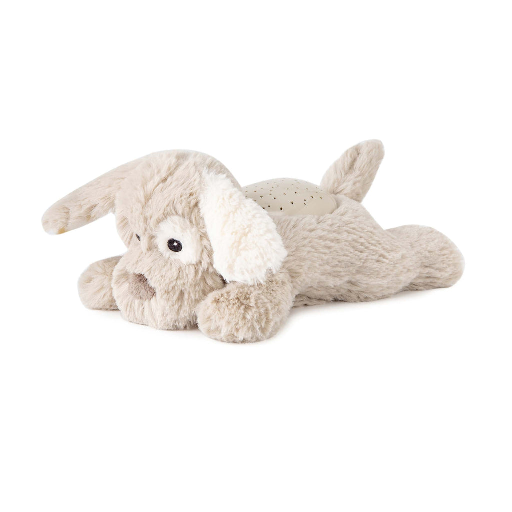 Baby Night Light Cloud-B's Nightlight Dream Buddies Patch Puppy The Little Baby Brand The Little Baby Brand