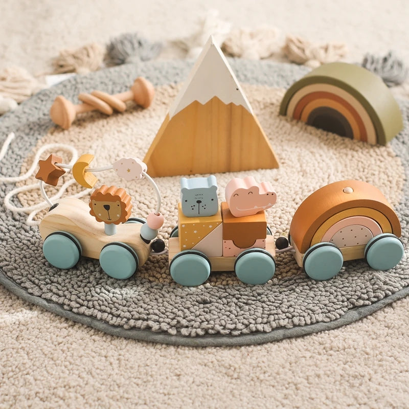 Baby Montessori Toys Wooden Train Baby Educational Toys Wooden Rainbow Blocks Trolley Baby Learning Toys Children Birthday Gifts The Little Baby Brand The Little Baby Brand